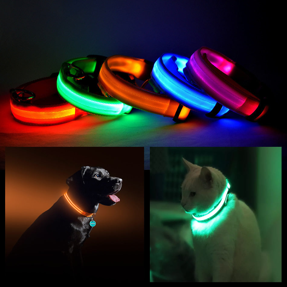 82822069